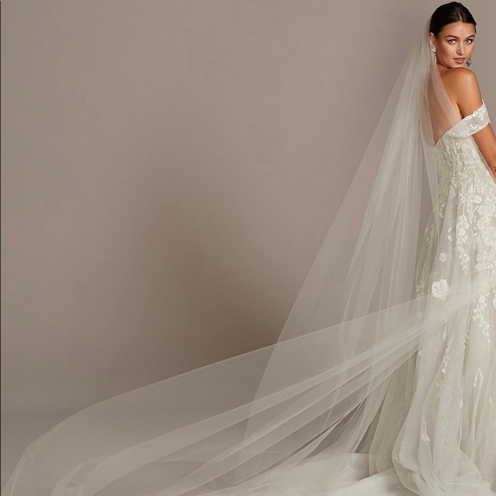 Ivory, Cathedral-Length Veil from David’s Bridal